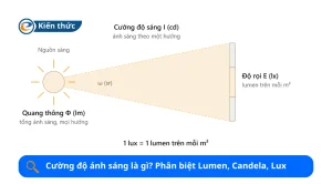 Cường độ ánh sáng là gì?